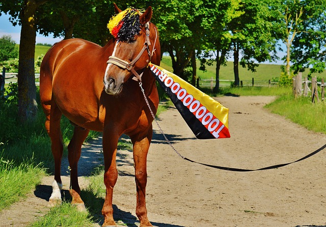 一家新兴服 一家新兴服