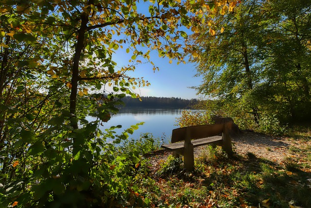 球队的防线 球队的防线