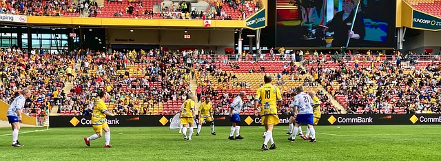 我感到荣幸 我感到荣幸